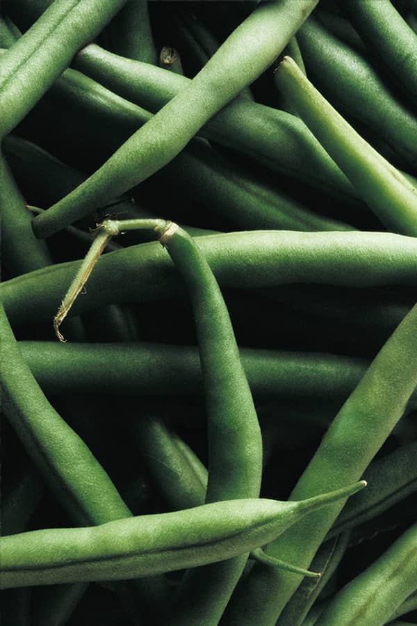 Catawba-Legumes-Thumbnail