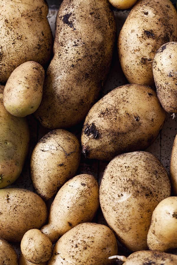 Catawba-Tubers-Thumbnail